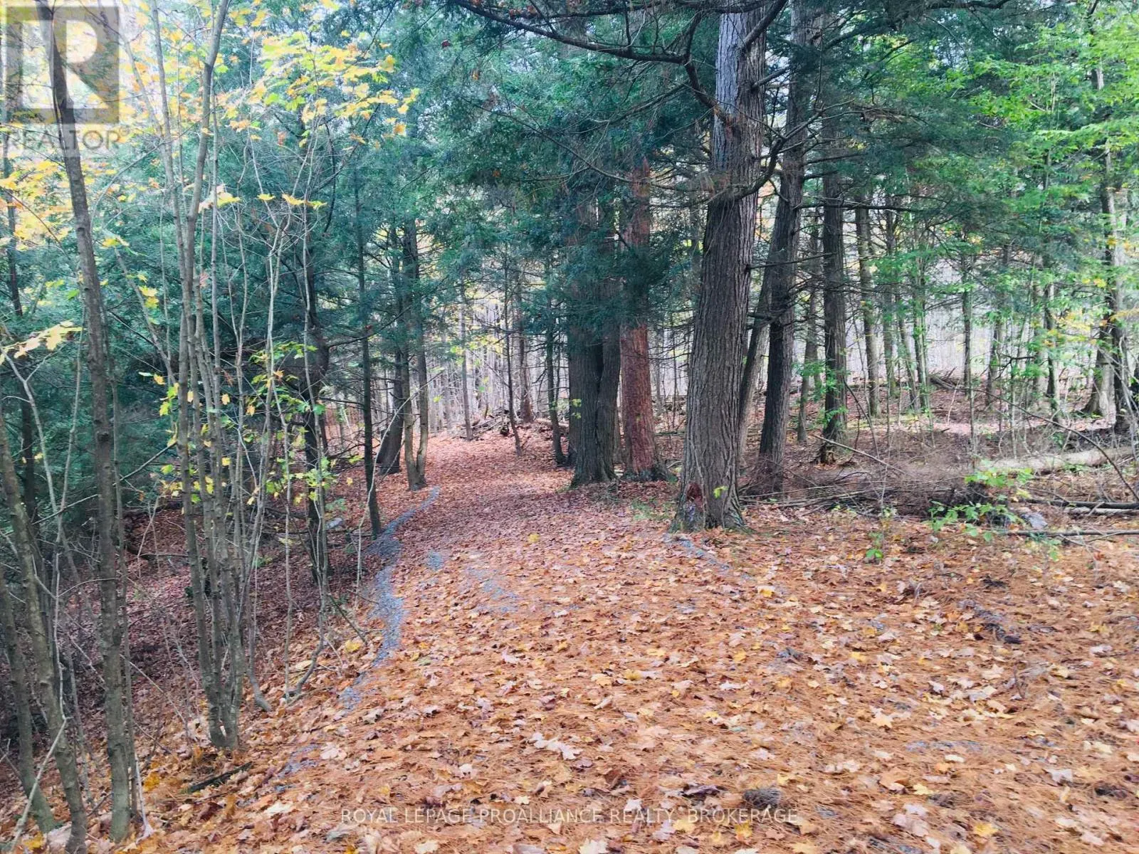 LOT 11 LONG REACH LANE