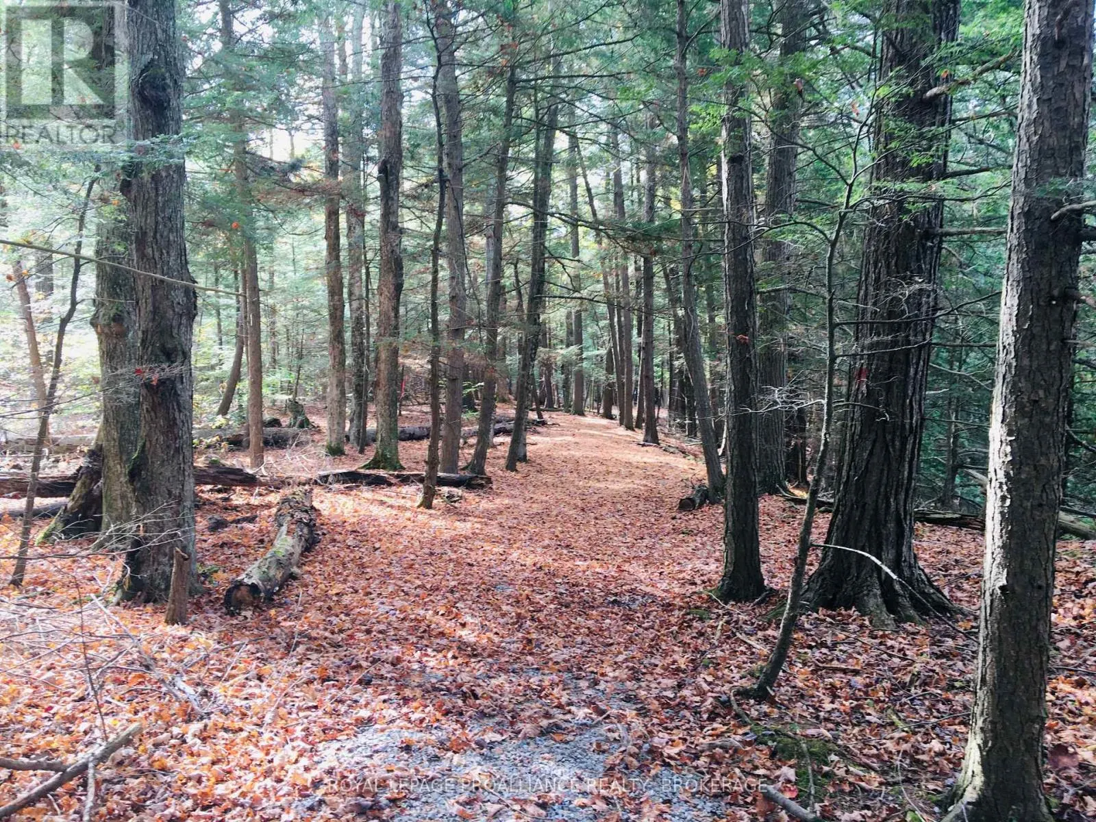LOT 11 LONG REACH LANE
