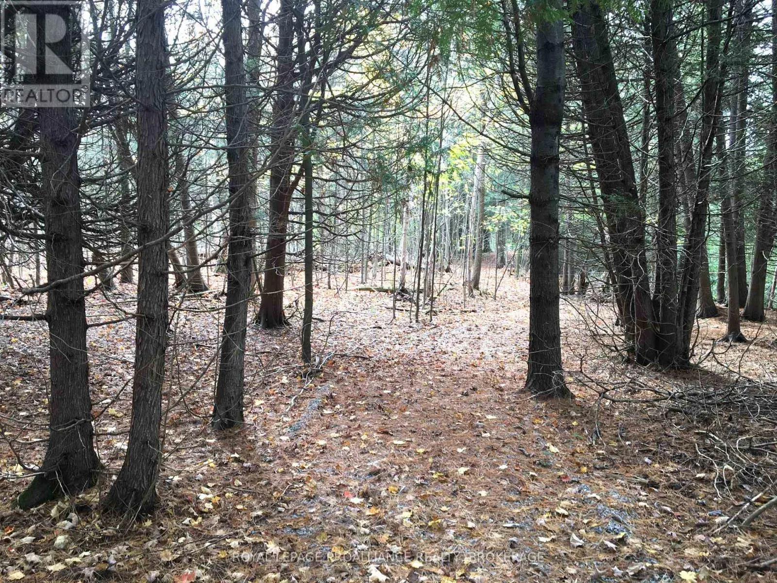 LOT 11 LONG REACH LANE