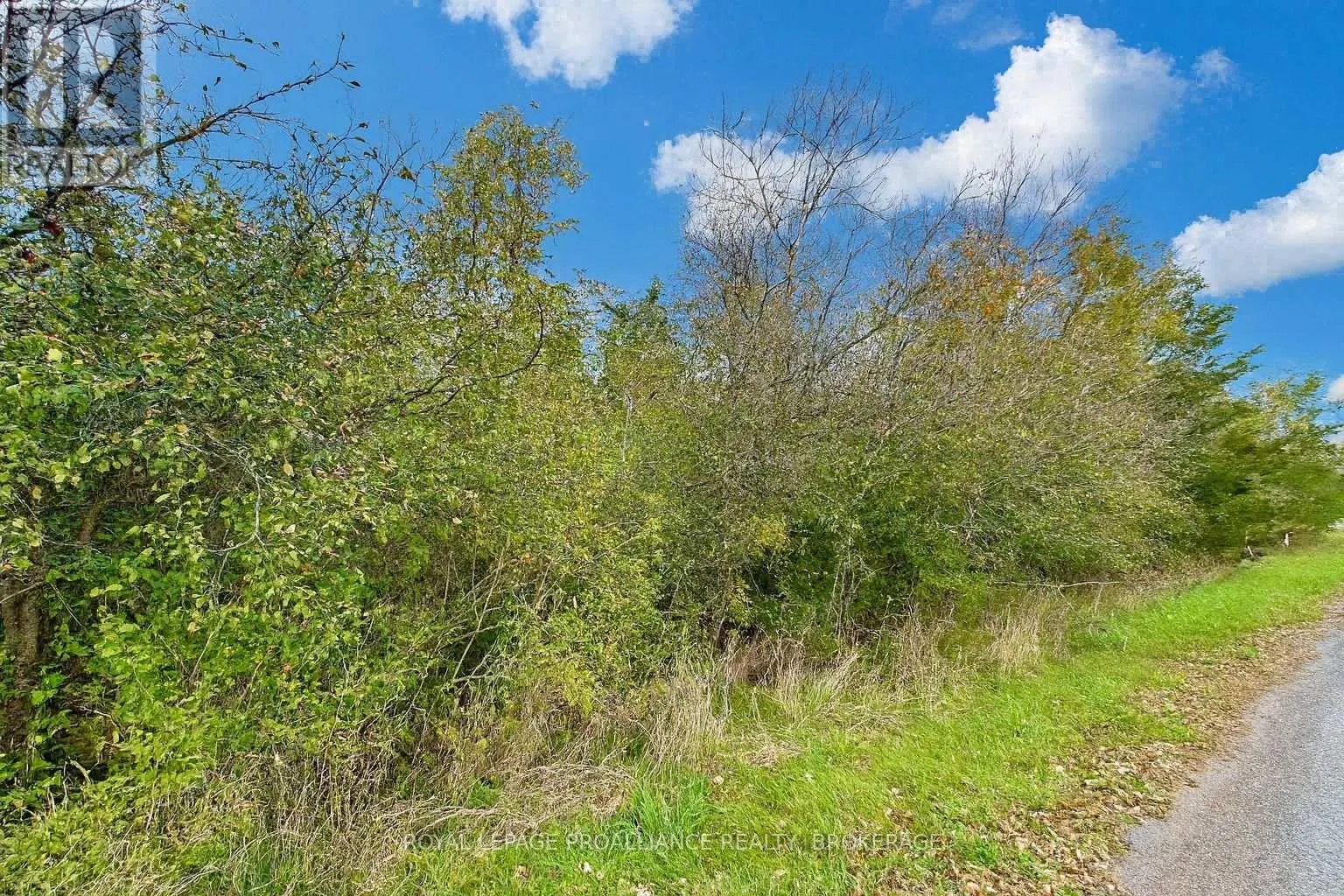 LOT 15 MARTIN DRIVE (LOT)