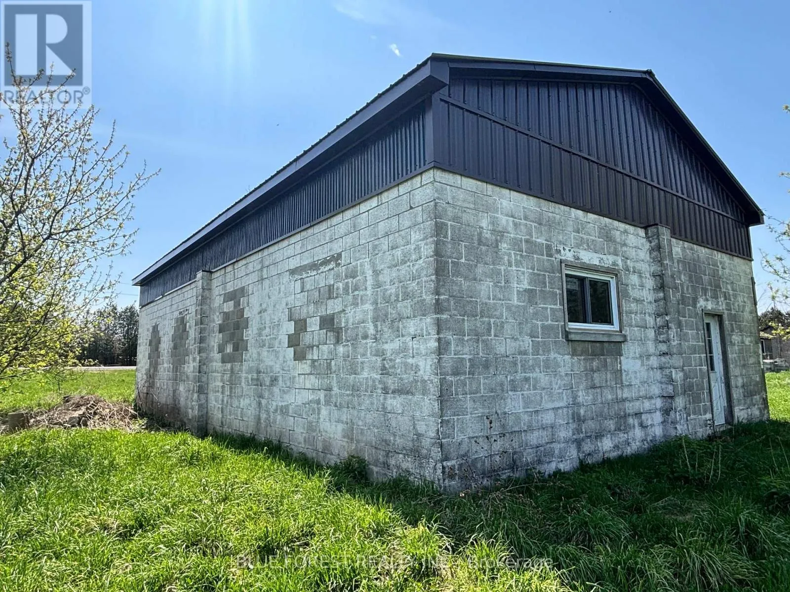 12003 BASE LINE