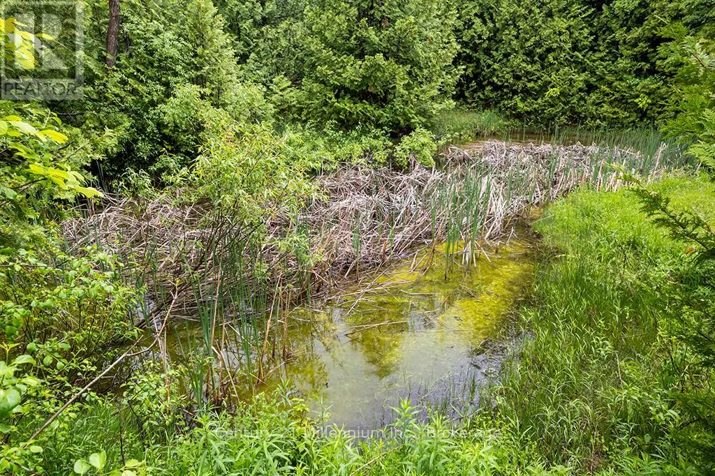 245650 22 SIDE ROAD