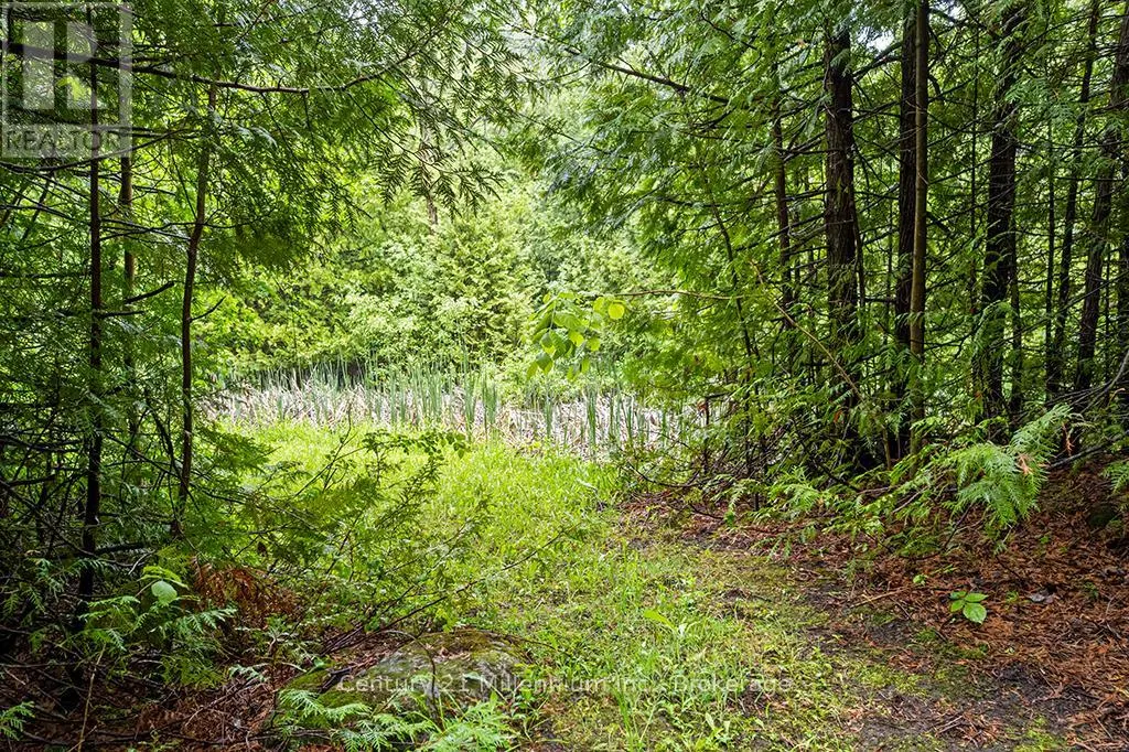 245650 22 SIDE ROAD