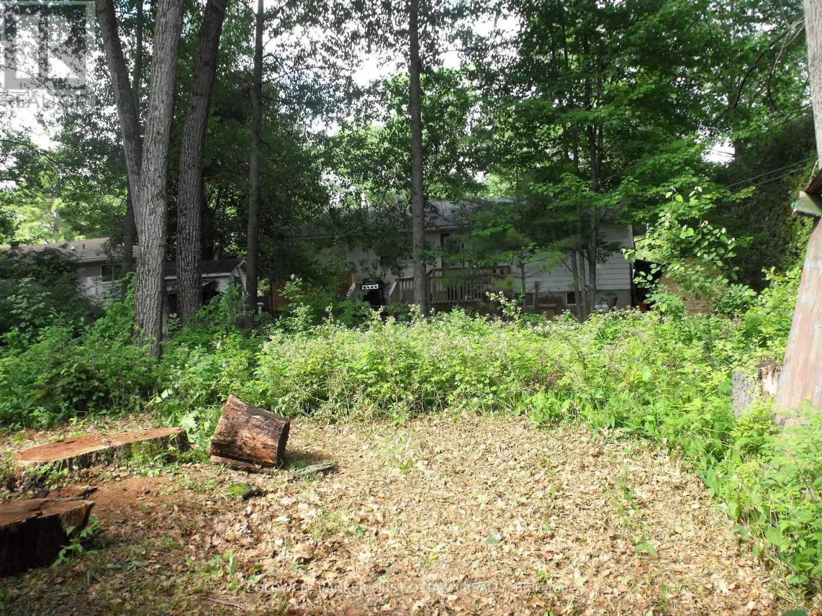 123 BAYVIEW DRIVE