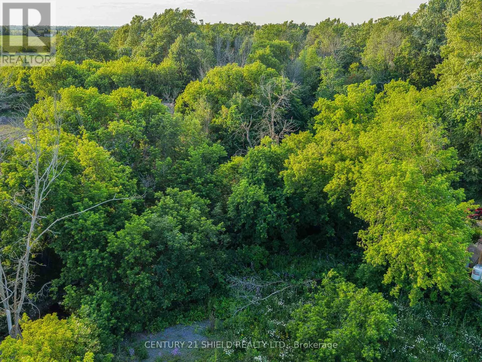 12329 COUNTY RD 5 ROAD
