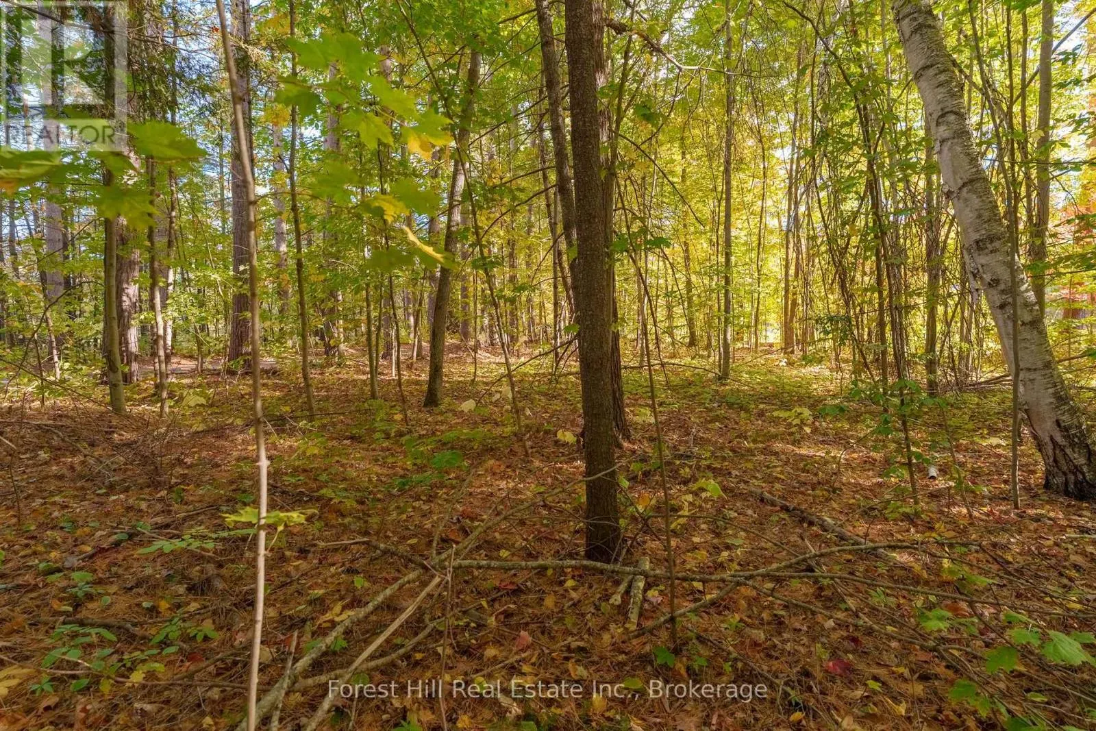 3864 HIGHWAY 118 W