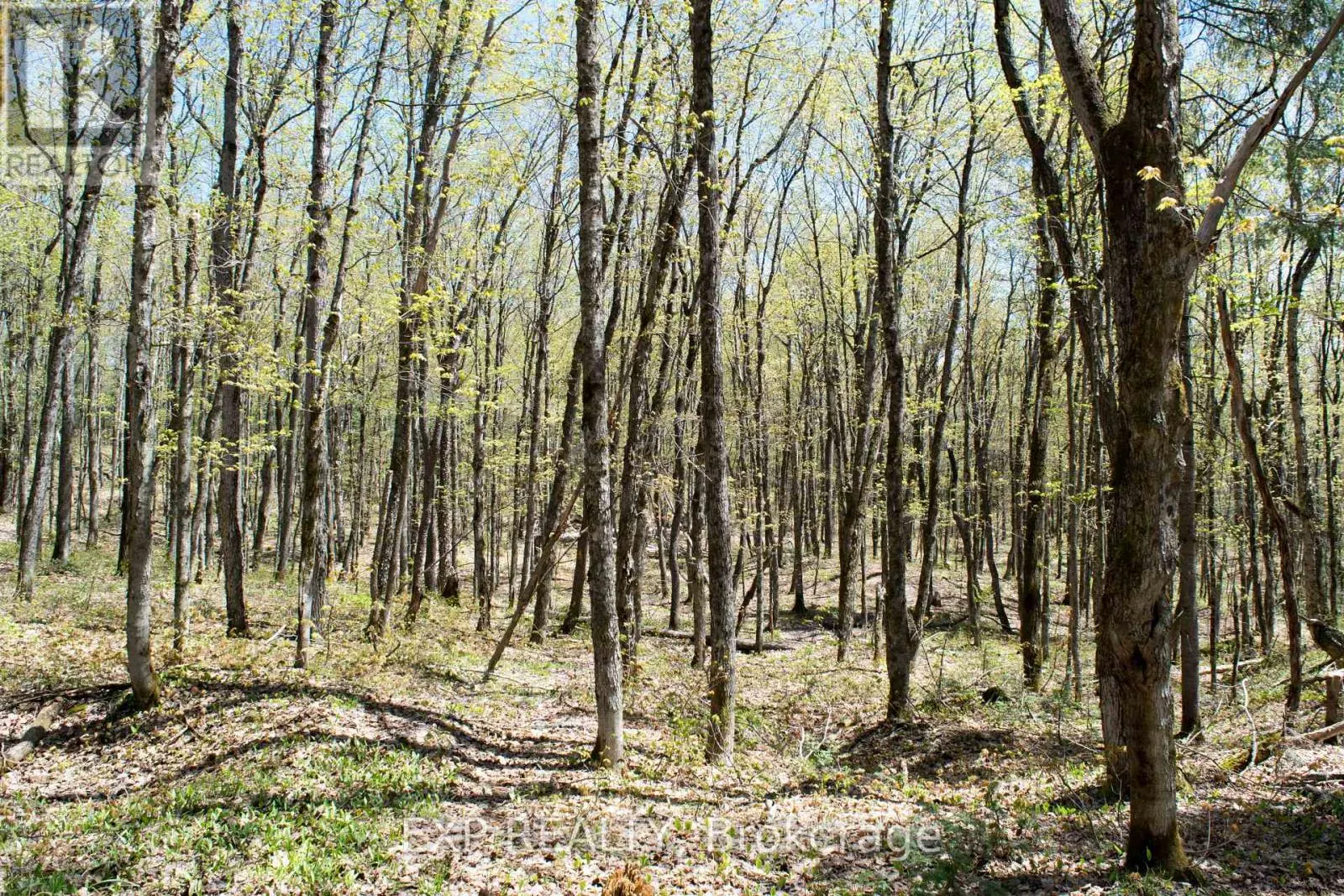 1800 BEAR CAVE ROAD