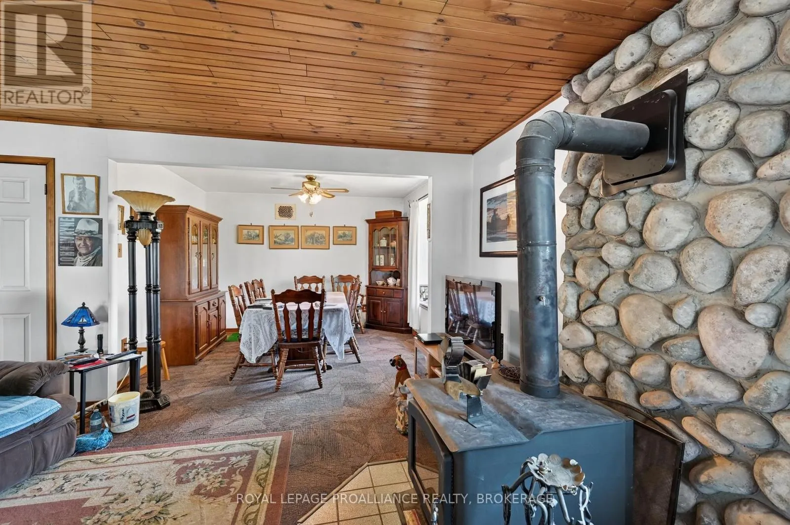 229 JOHNSON BAY LANE