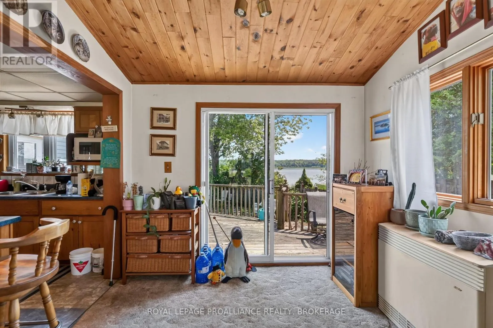 229 JOHNSON BAY LANE