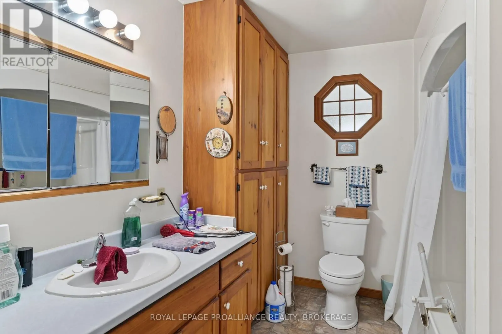 229 JOHNSON BAY LANE