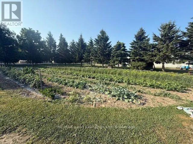 559 BERVIE SIDE ROAD