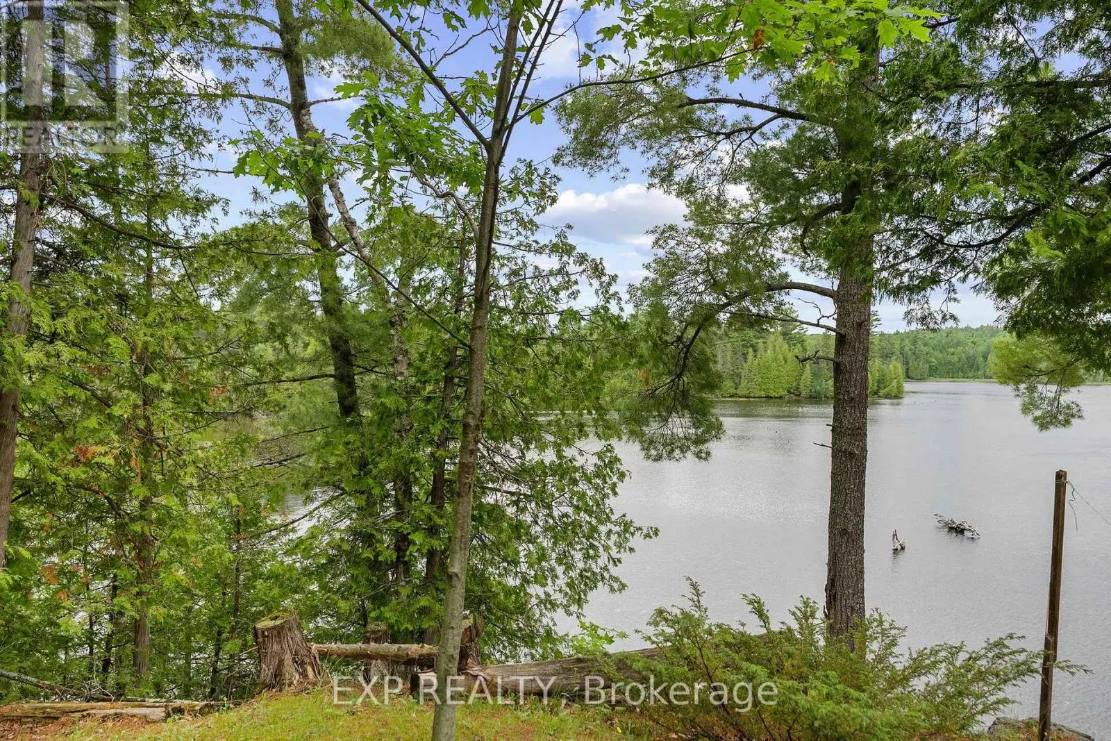 129 LOON COVE TRAIL