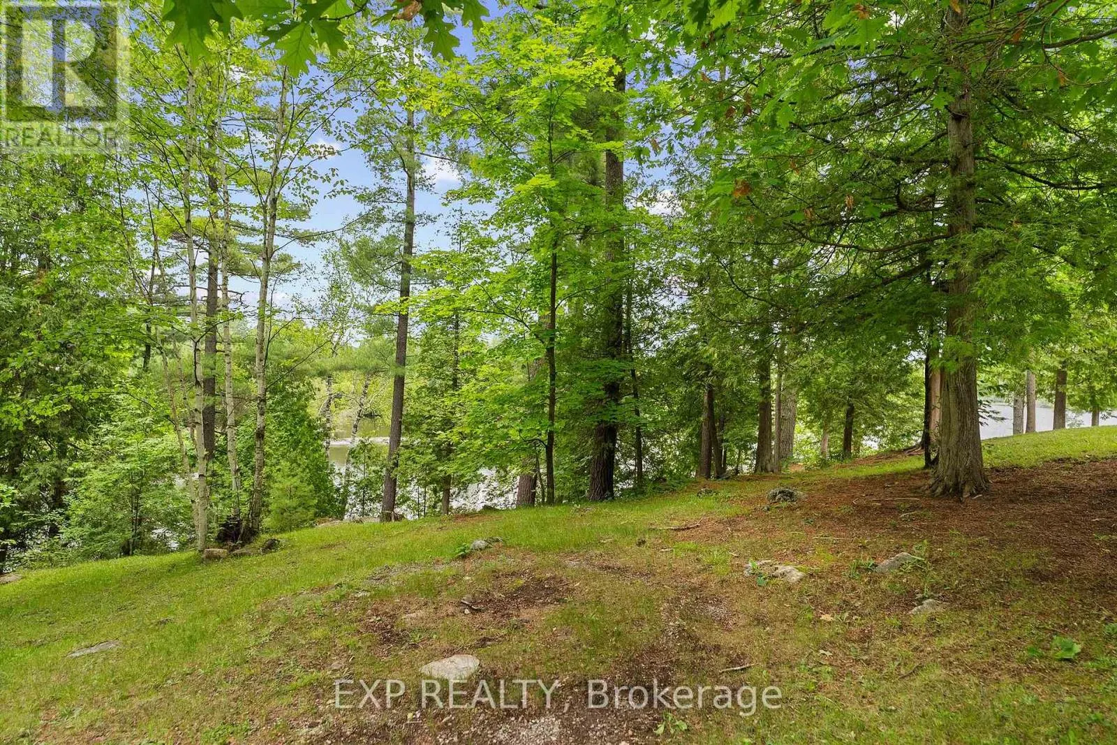 129 LOON COVE TRAIL
