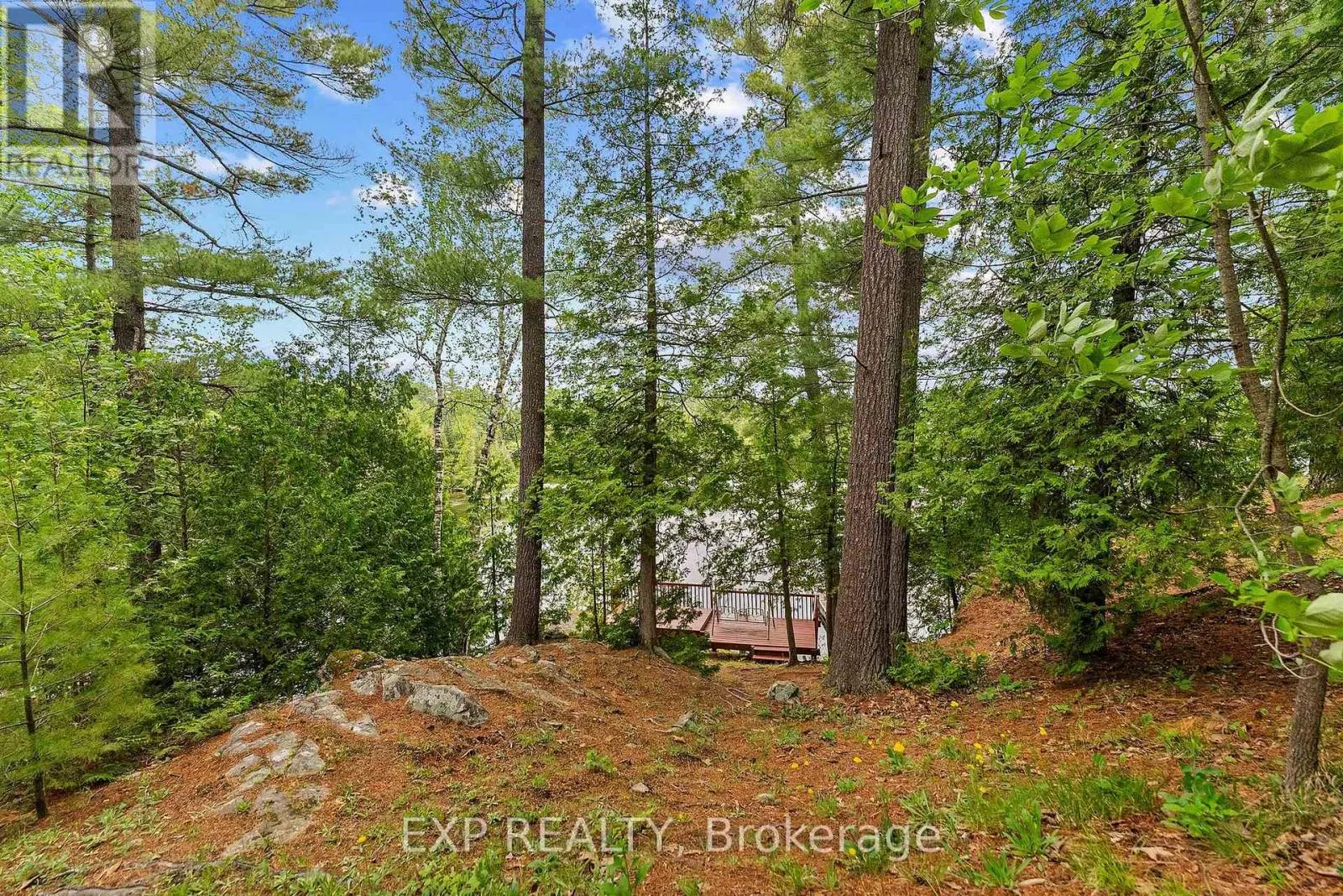 129 LOON COVE TRAIL