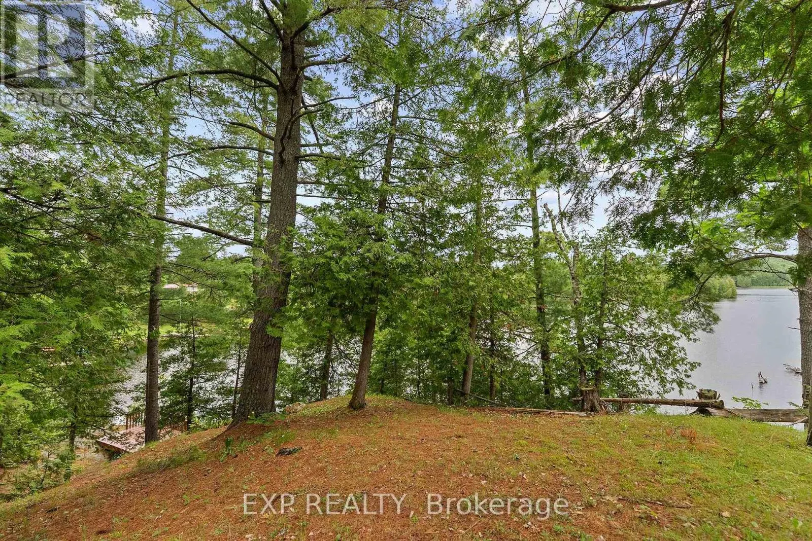 129 LOON COVE TRAIL