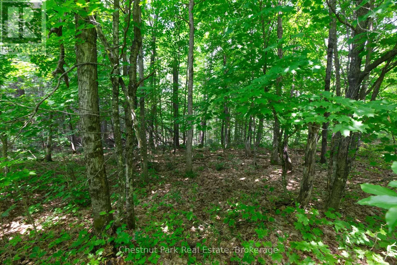 LOT 78 141 HIGHWAY