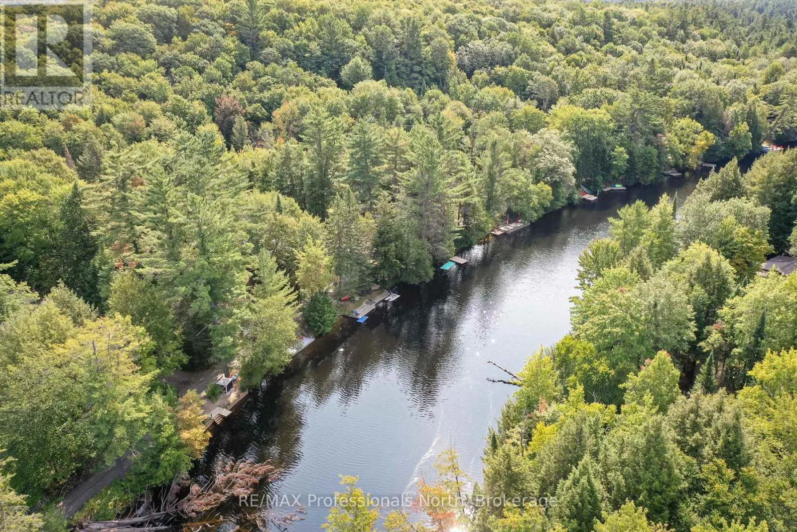 1019 SPRINGDALE SHORES PVT