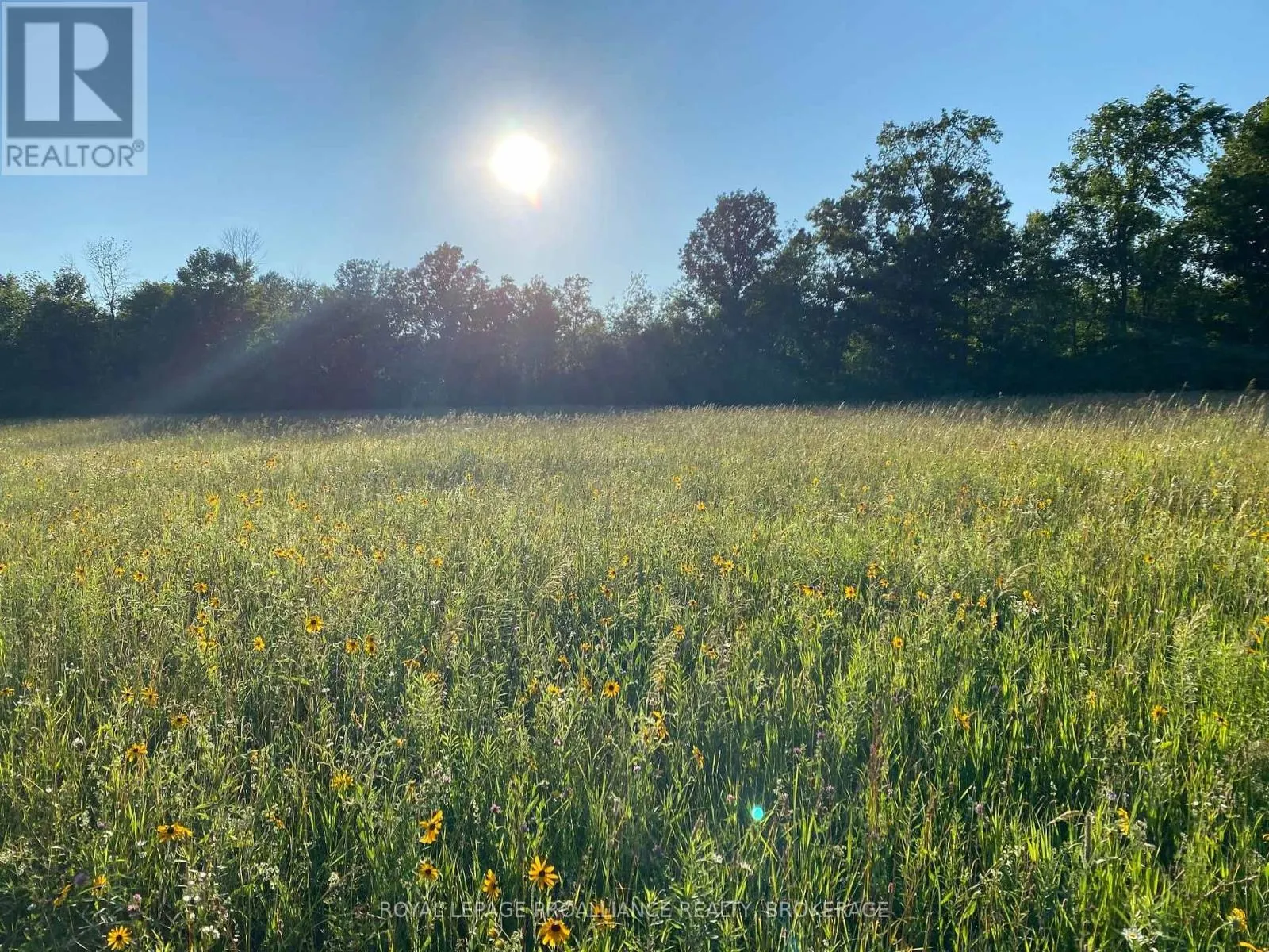 1462 COUNTY ROAD 8