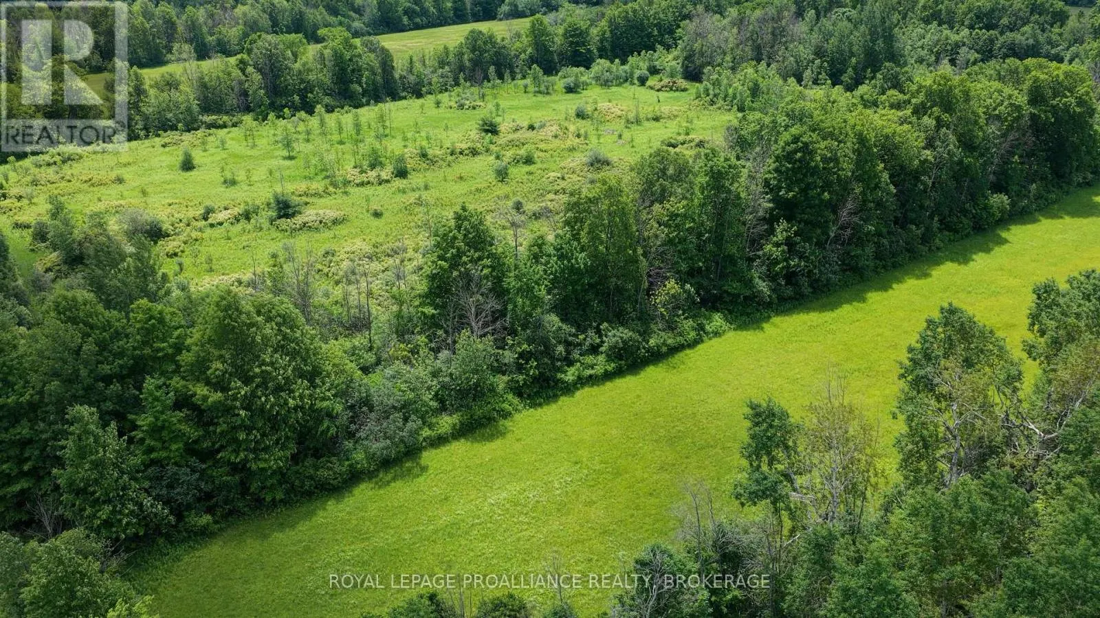 1462 COUNTY ROAD 8