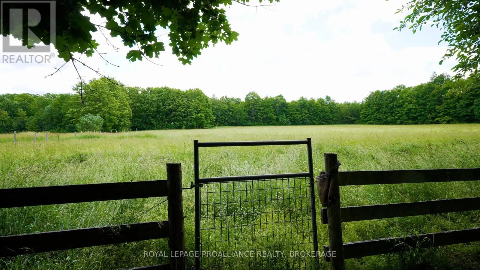 1462 COUNTY ROAD 8