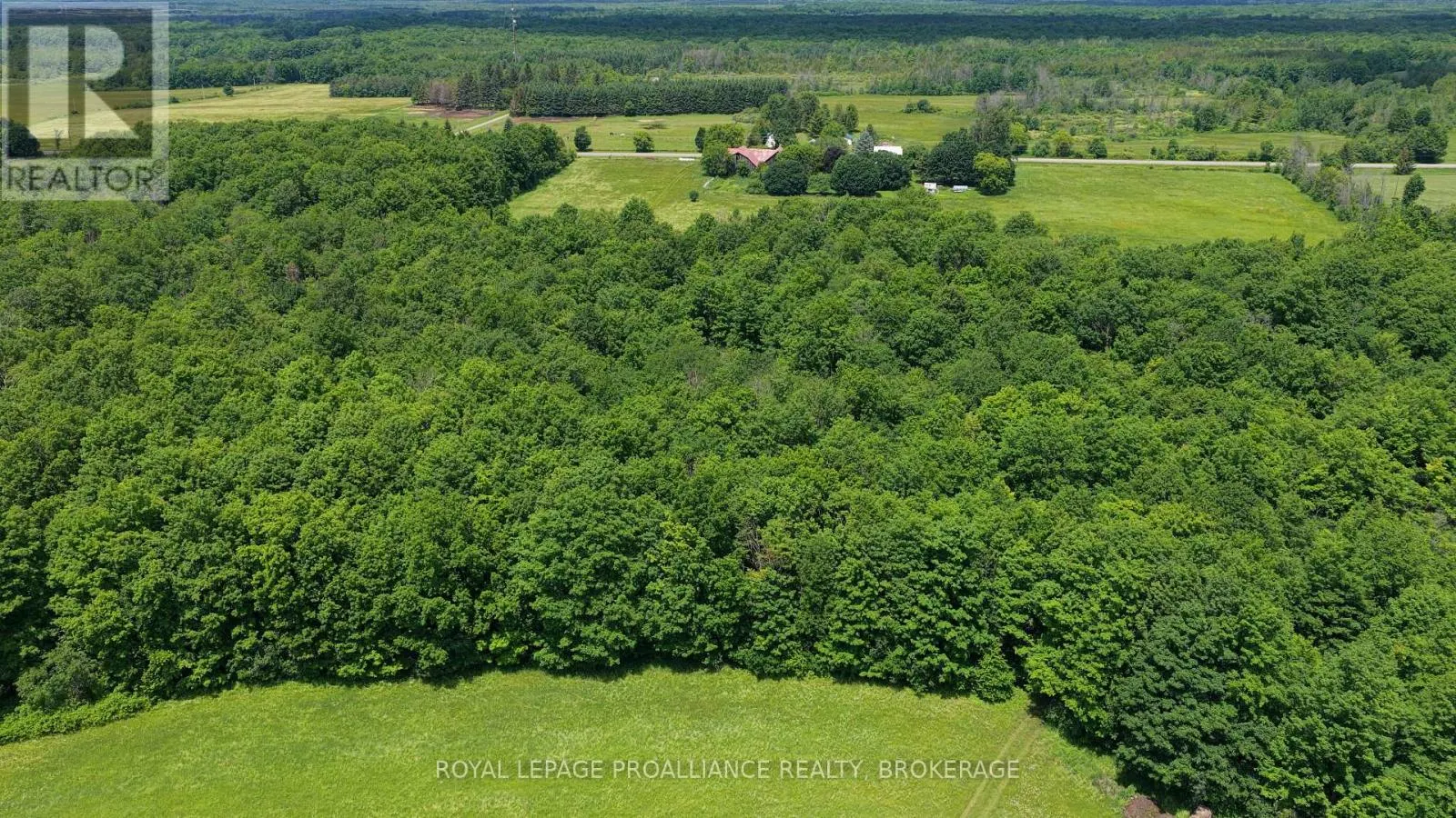 1462 COUNTY ROAD 8