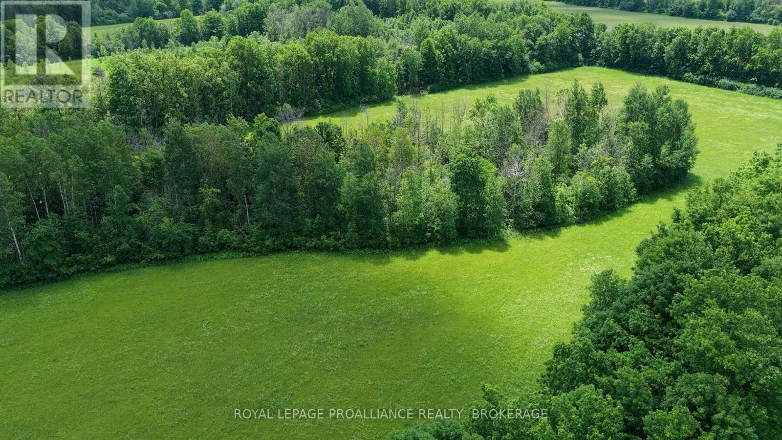 1462 COUNTY ROAD 8