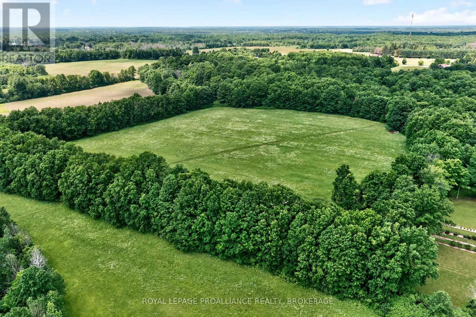 1462 COUNTY ROAD 8