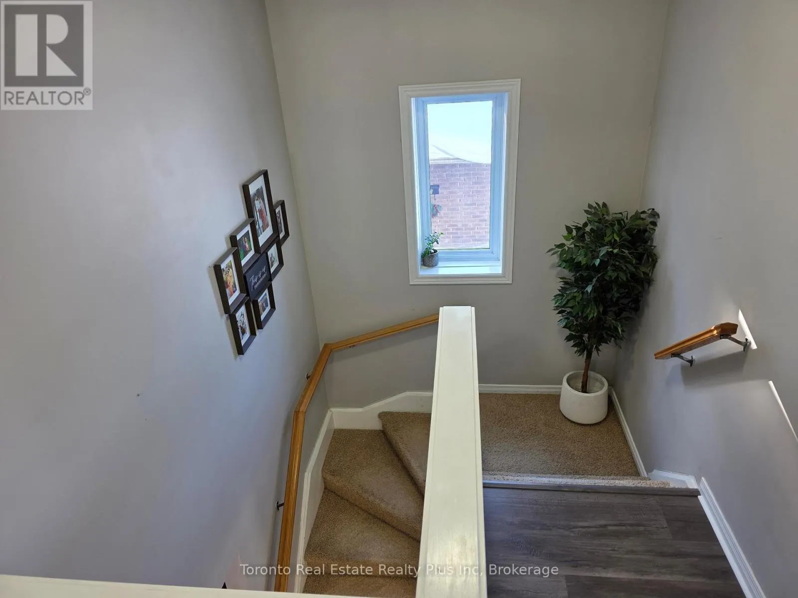 16 TALON DRIVE