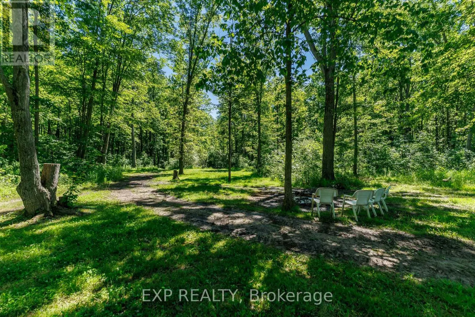 50849 O'REILLY'S ROAD S