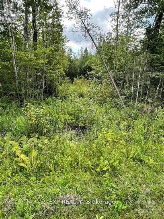 00 A1 CONCESSION ROAD 4 ROAD