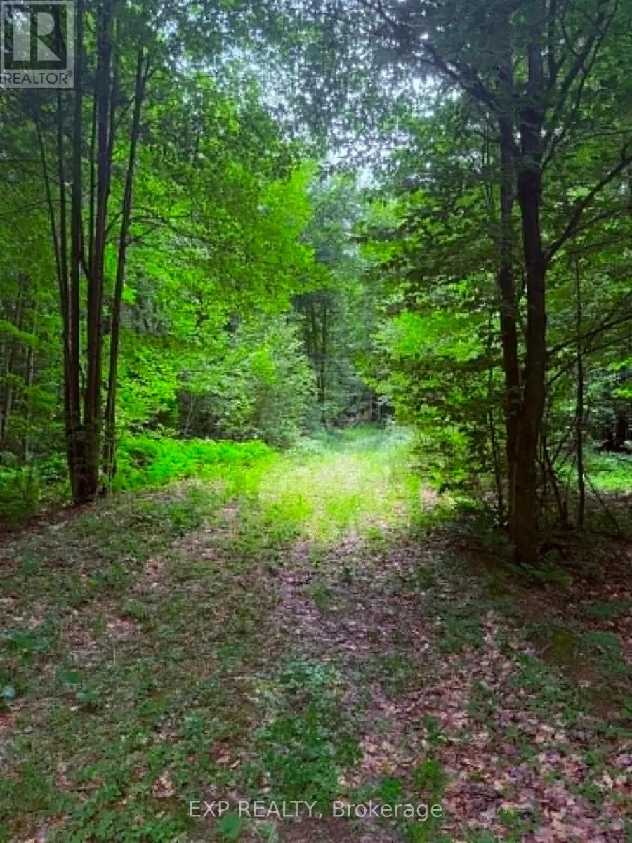00 B CONCESSION ROAD 4 ROAD