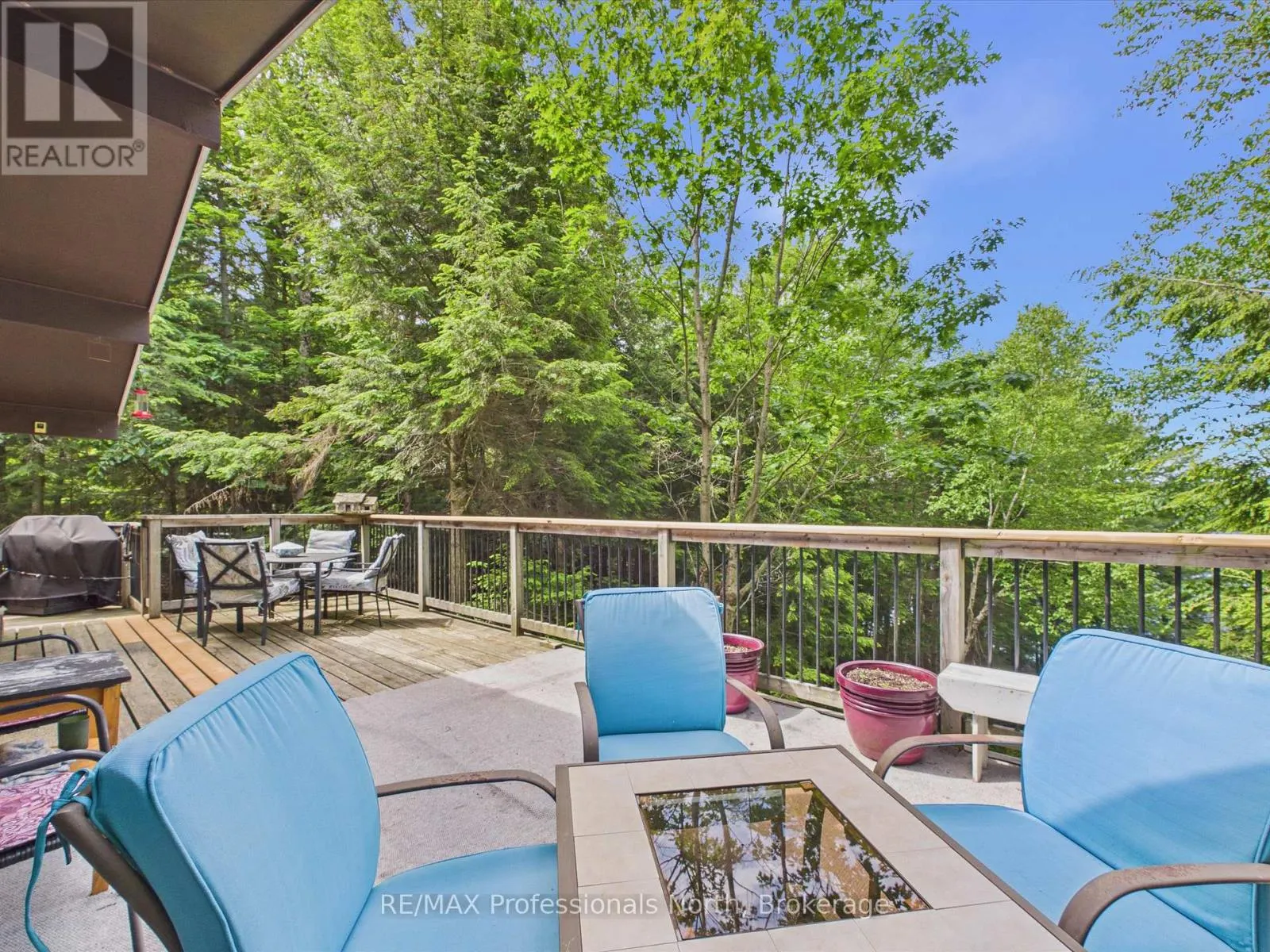 1007 LEECH LAKE POINT ROAD
