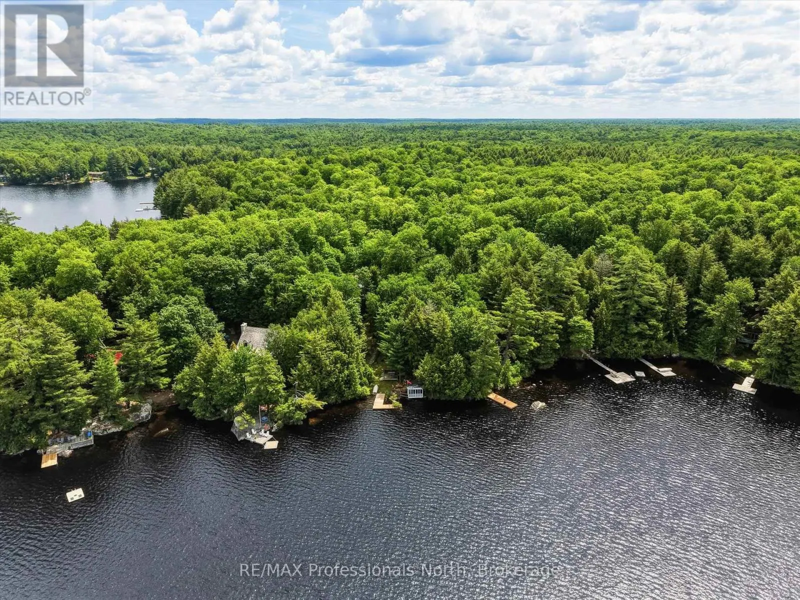 1007 LEECH LAKE POINT ROAD
