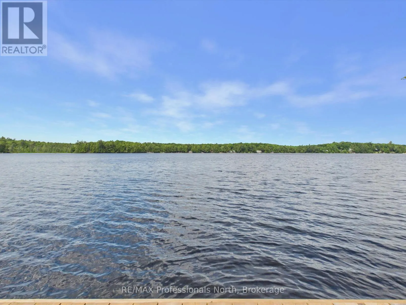 1007 LEECH LAKE POINT ROAD