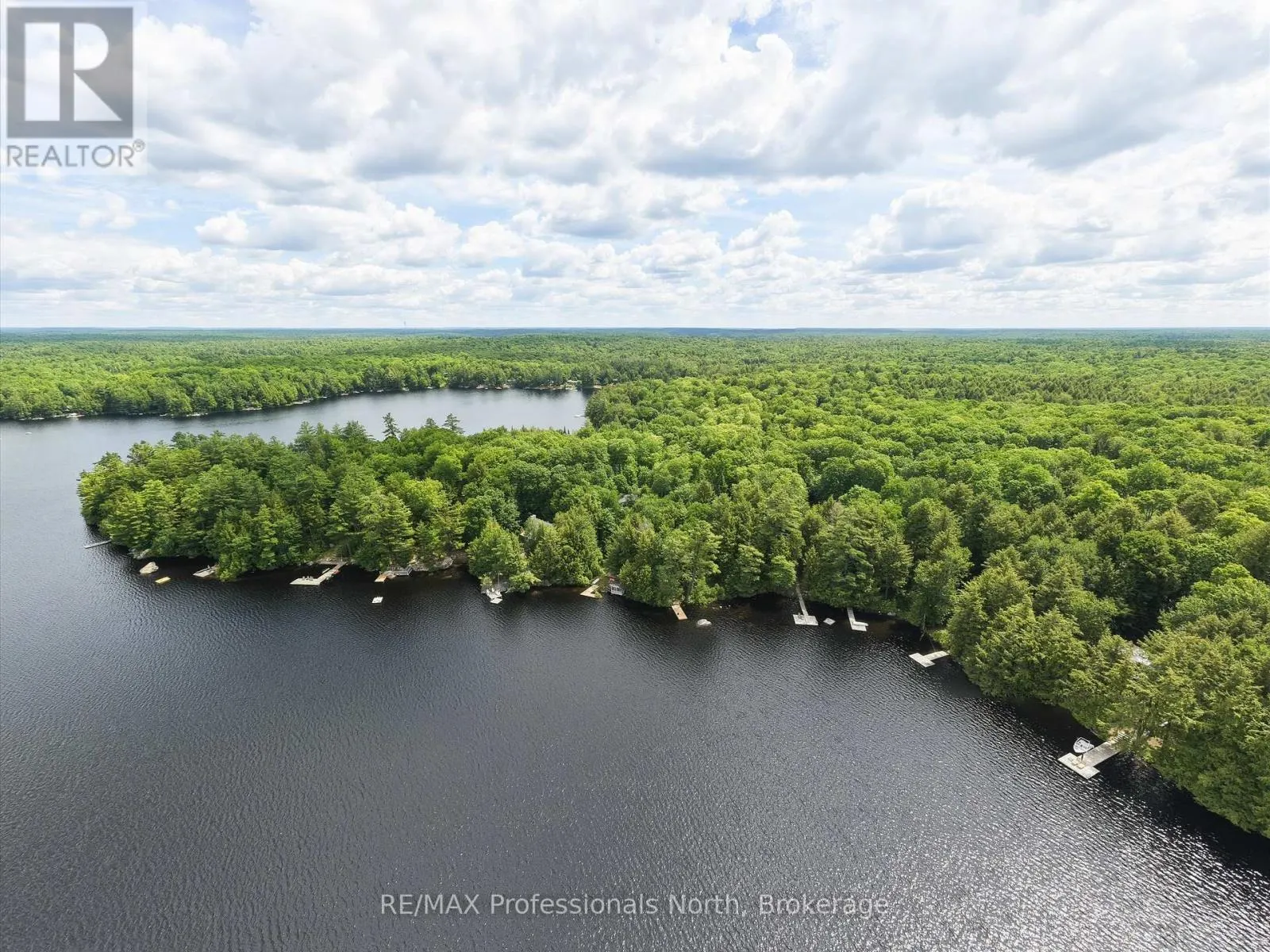 1007 LEECH LAKE POINT ROAD