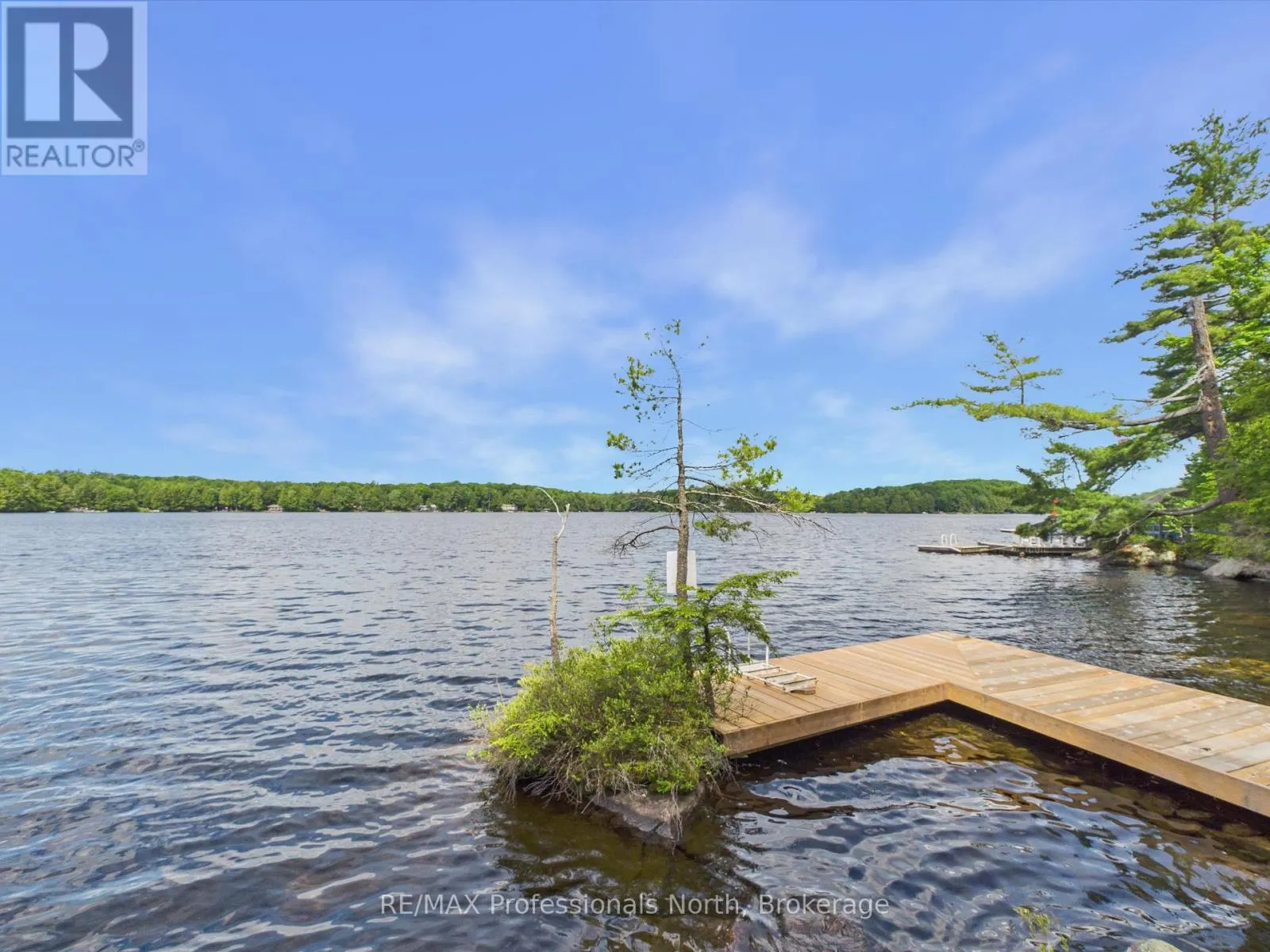 1007 LEECH LAKE POINT ROAD