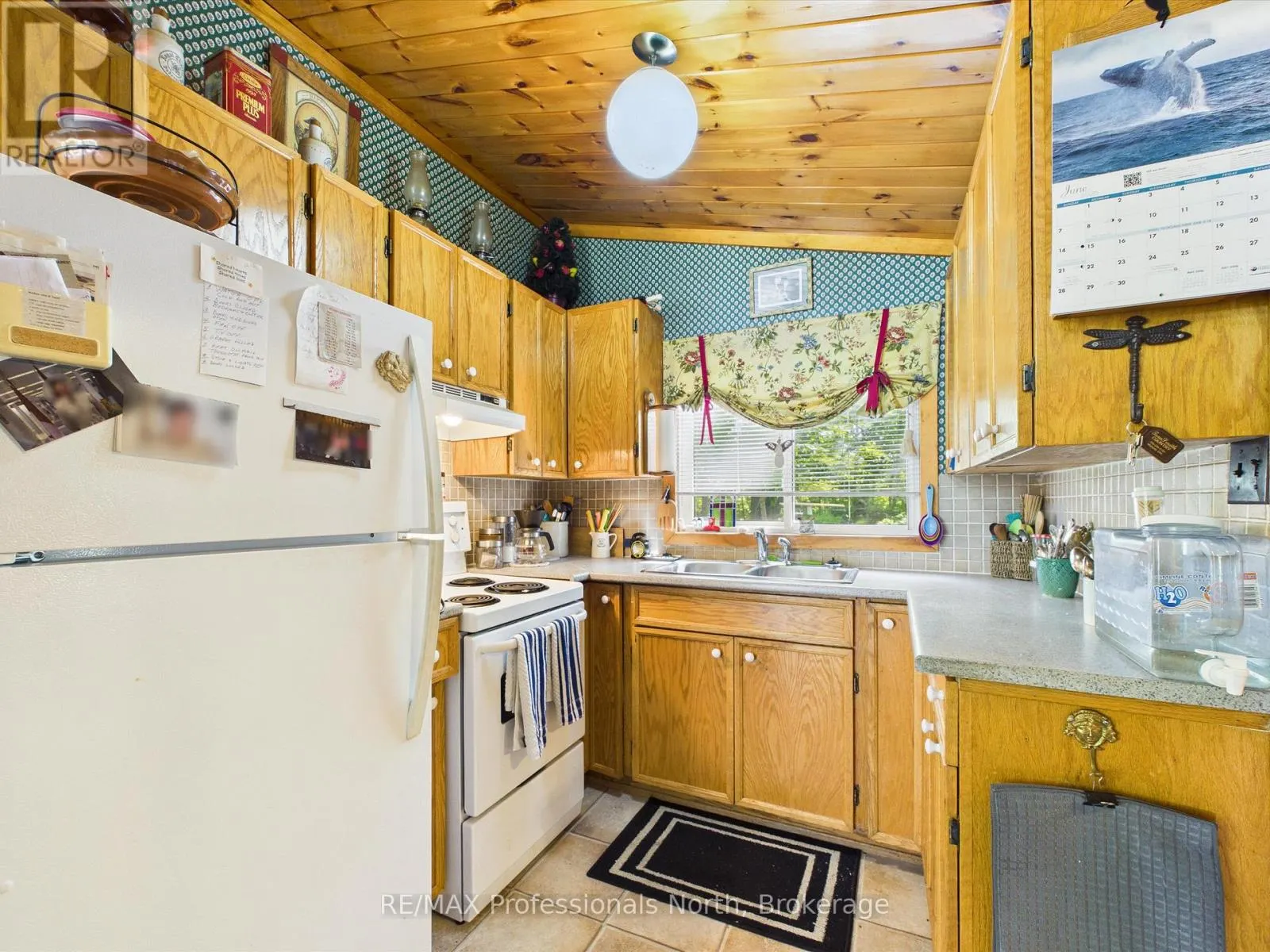 1007 LEECH LAKE POINT ROAD