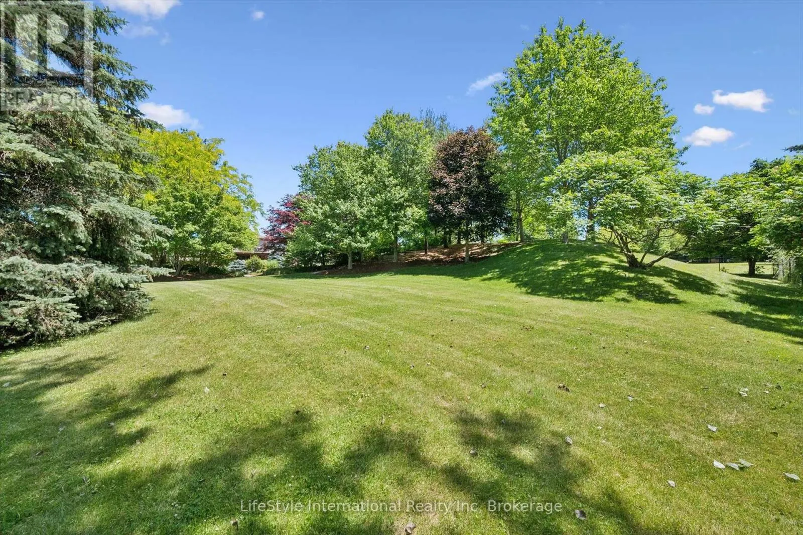 12 OCHS DRIVE