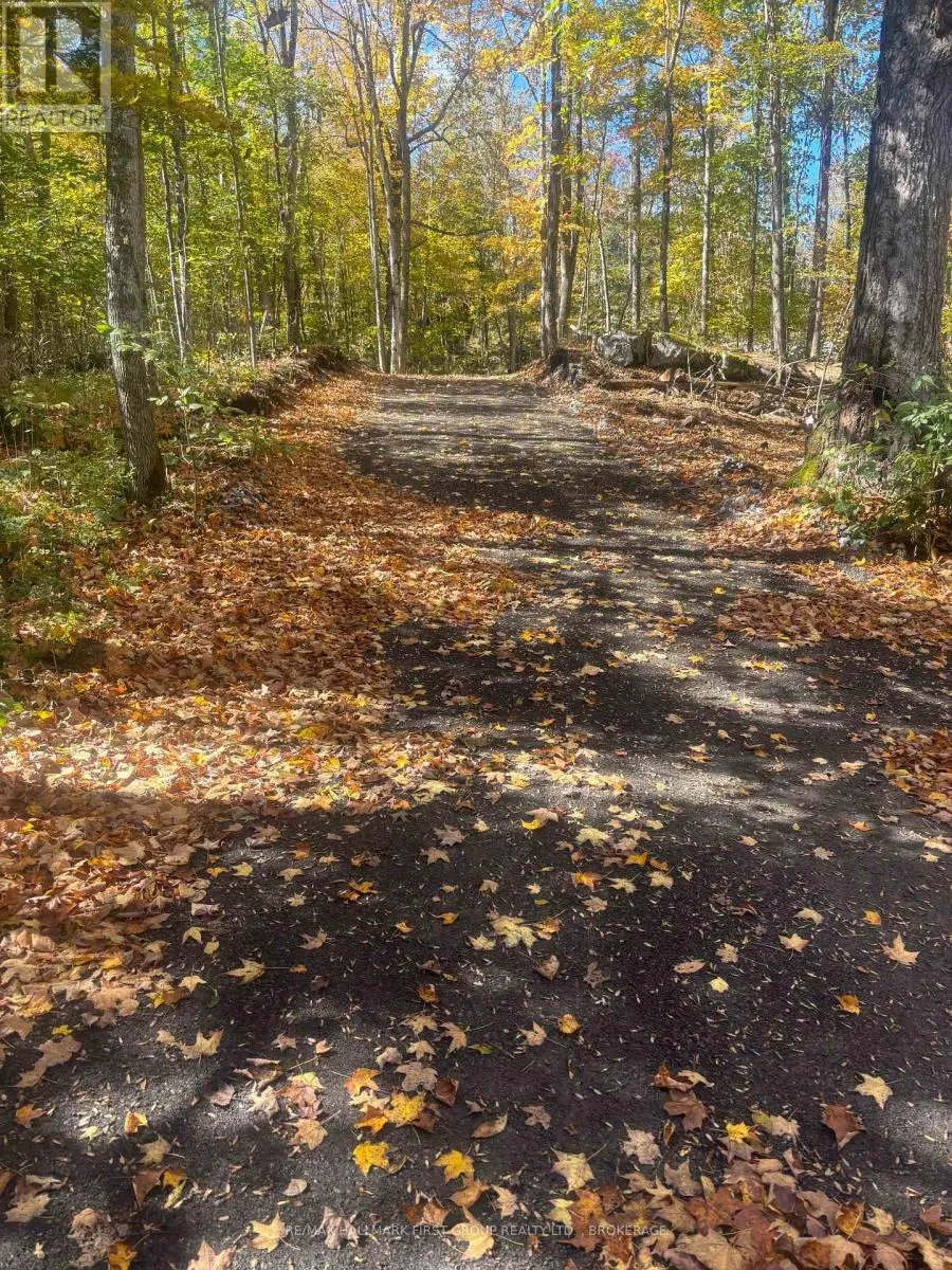 812 BUCK HOLLOW LANE