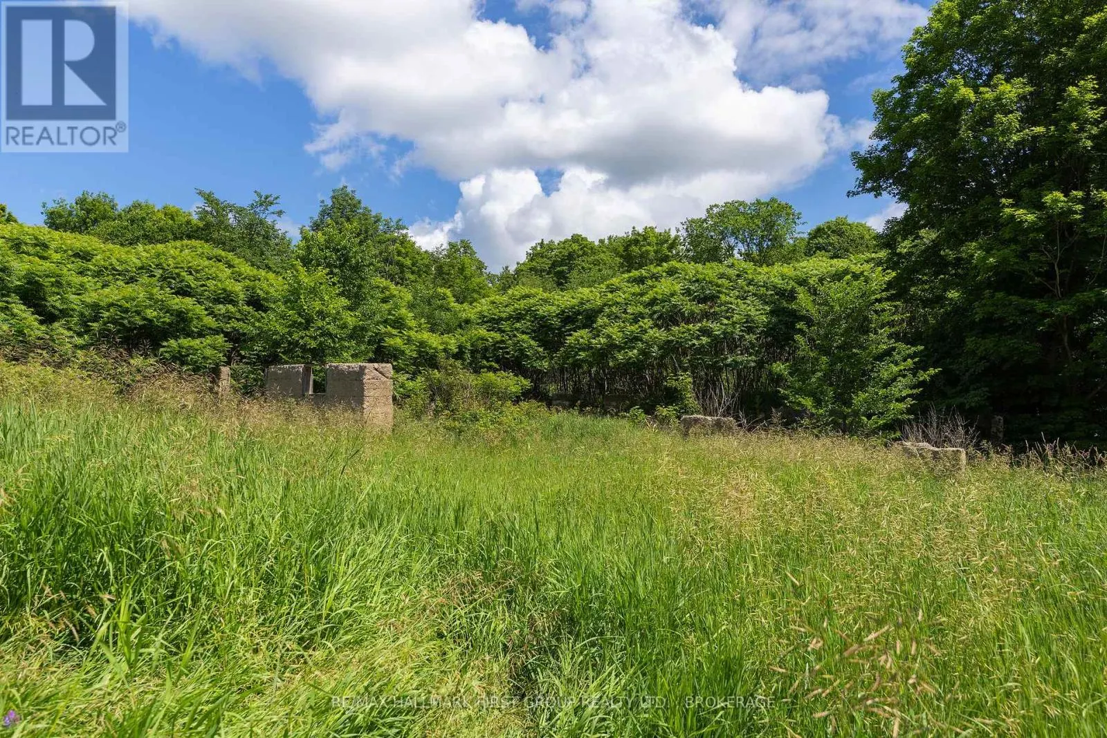 812 BUCK HOLLOW LANE