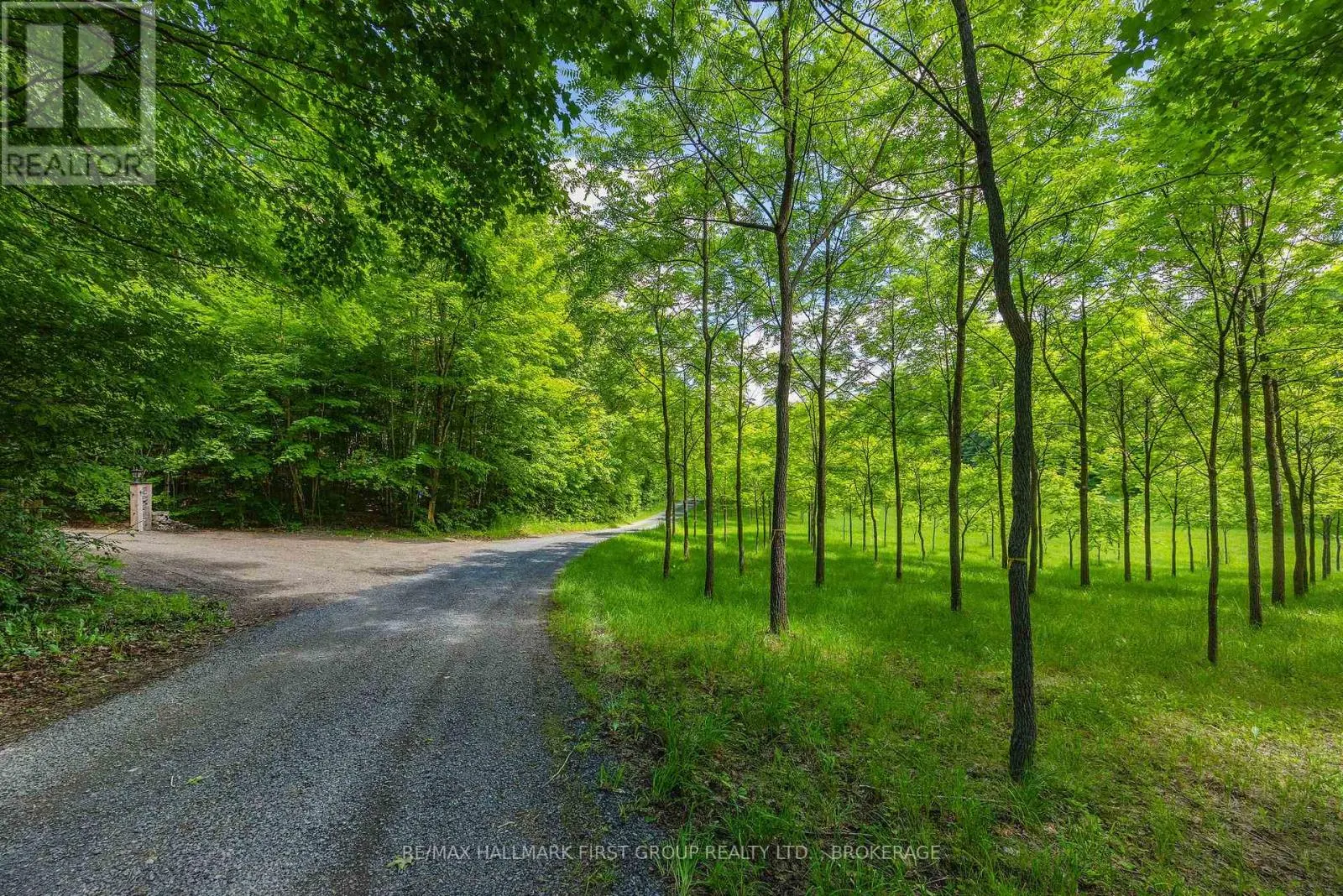 812 BUCK HOLLOW LANE