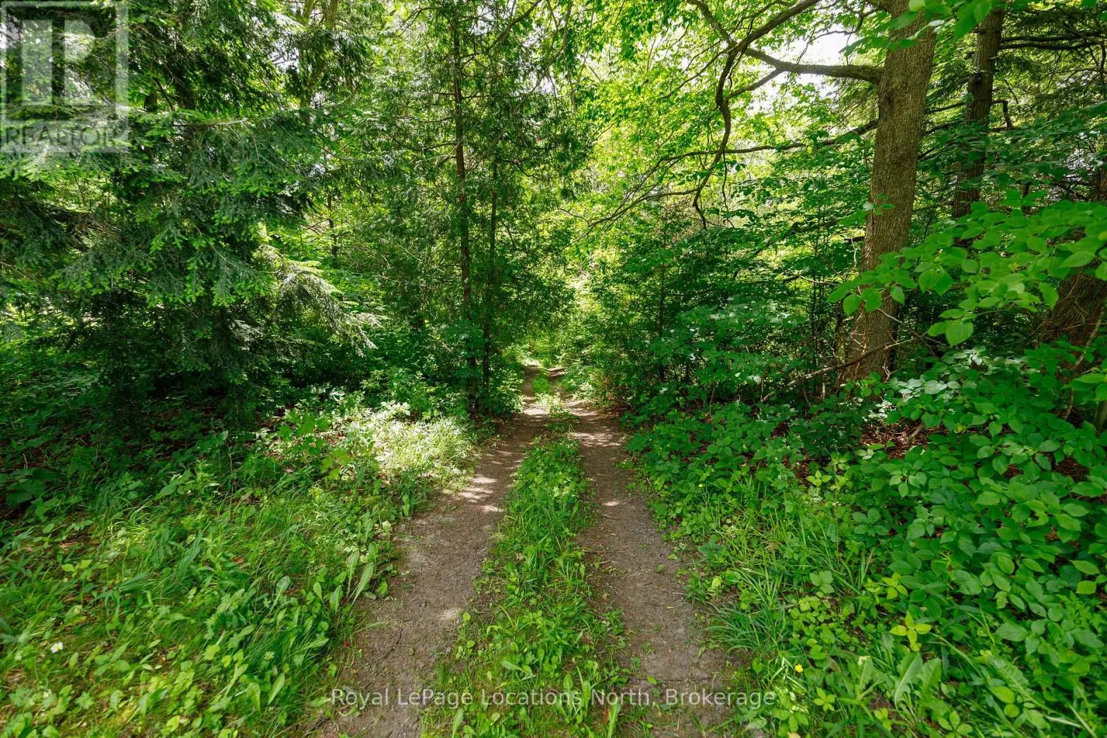 828530 MULMUR-NOTTAWASAGA TOWNLINE