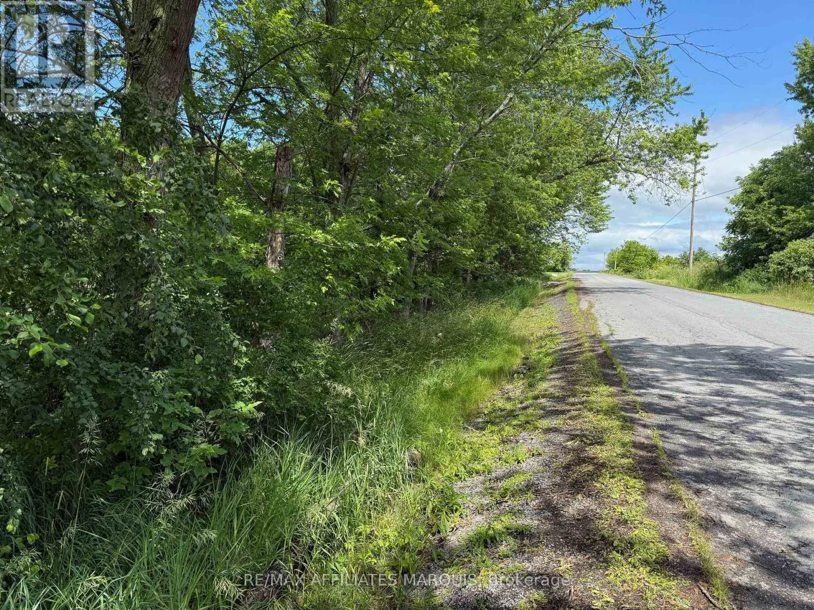 231 WELLINGTON (PIN-451060369) STREET