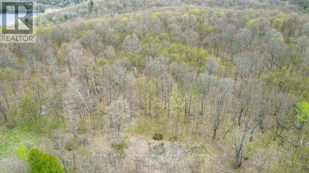 2611 RIVER ROAD
