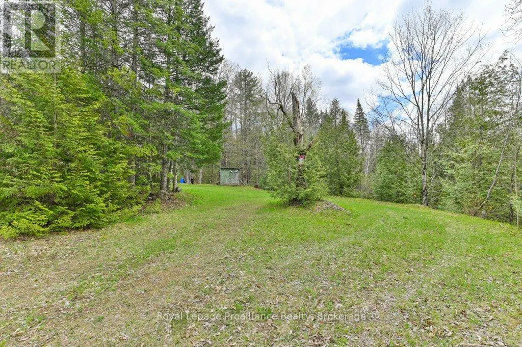 2611 RIVER ROAD