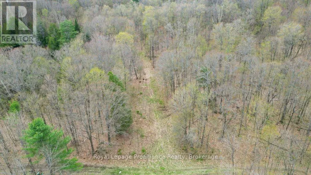 2611 RIVER ROAD