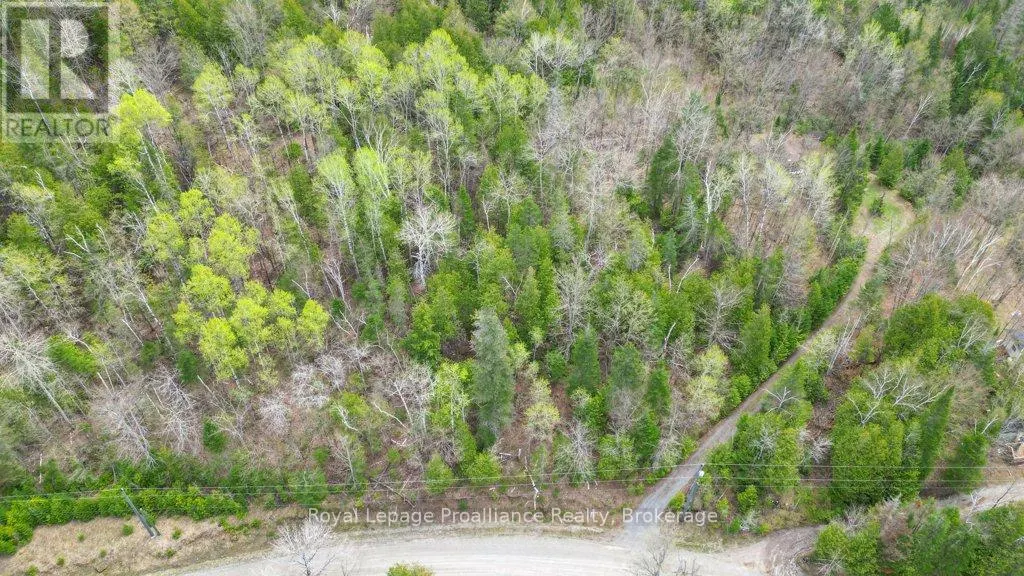 2611 RIVER ROAD