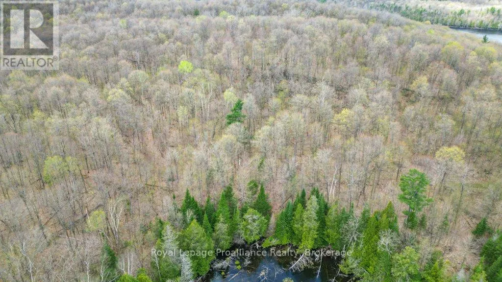 2611 RIVER ROAD