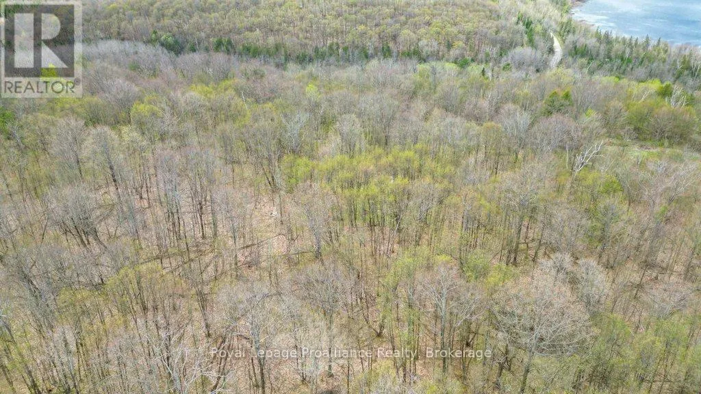 2611 RIVER ROAD