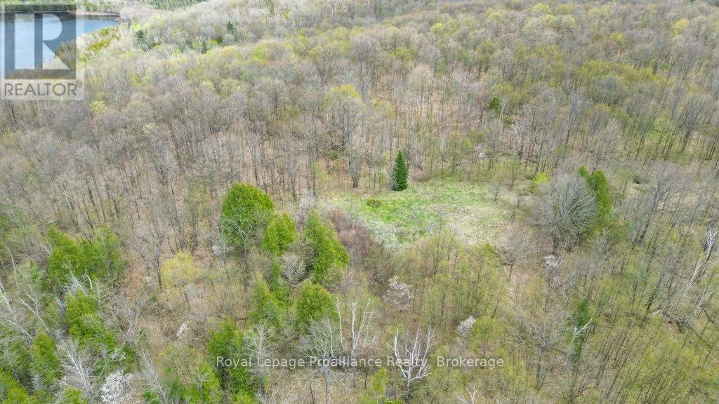 2611 RIVER ROAD